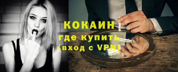 шишки Беломорск