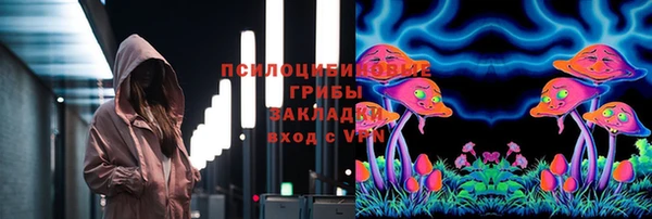 прущие грибы Белоозёрский