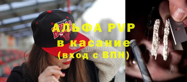 шишки Беломорск