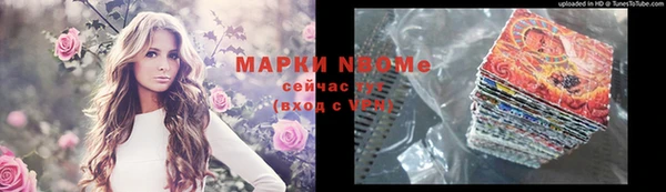 Альфа ПВП Белокуриха