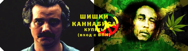прущие грибы Белоозёрский