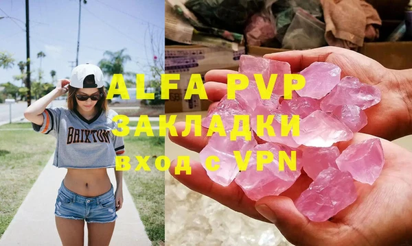 прущие грибы Белоозёрский