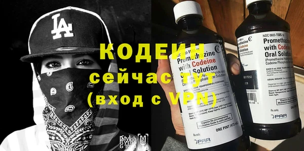 шишки Беломорск