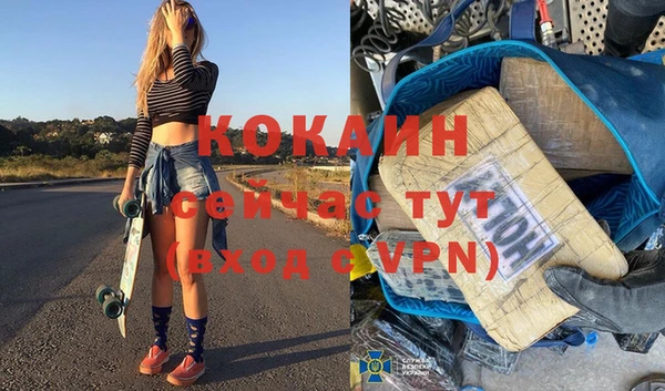 шишки Беломорск