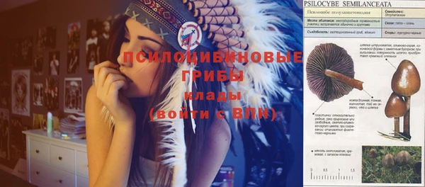 Альфа ПВП Белокуриха