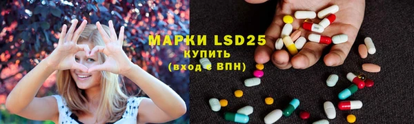 прущие грибы Белоозёрский