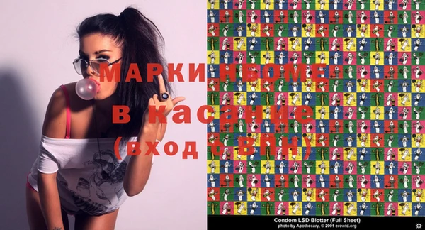 шишки Беломорск