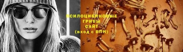 шишки Беломорск